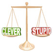 Clever Vs Stupid Words Scale Fine Line Humor Taste