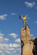 Climber on the summit.
