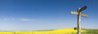 Blank sign, yellow crop, blue sky