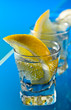 gin with lemon on a glass table
