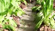 Water on garden Sustainability concept