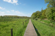 Photo: Duckboards through a meadow in spring Duckboards through a meadow in spring