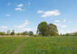 Photo: Path through a meadow in spring Path through a meadow in spring