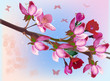 Vektor: pink tree blossom and butterflies on blue pink tree blossom and butterflies on blue