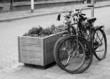 Two parked bicycles on the street in Black and White