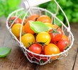 Photo: Tomaten Tomaten