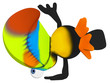 Fun toucan