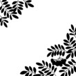 Rowanberry background, silhouette