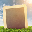 Blackboard in spring