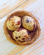 Photo: quail eggs quail eggs