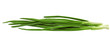Young onion on white background. Close-Up. Isolated.