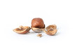 peeled hazelnut on white background