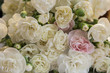 Fiori per sfondo