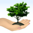 Human hand with tree. Vector