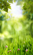 Green world, abstract environmental backgrounds for your design