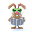 Chocolate bunny read the news today