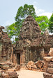 Ta Prohm Temple, Angkor Wat, Cambodia
