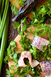 fresh fish fillet on a cutting board, pike