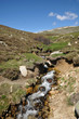 Torrent de montagne - Corse