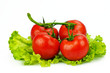 The red tomato and the green salad