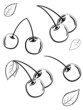 Set of cherries