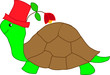 tartaruga con cappello