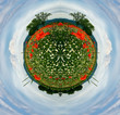 Beautiful, colorful planet Earth with red poppies and trees