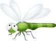 Dragonfly cartoon