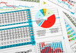 Business Report in Charts with Sales Statistics