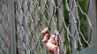 fingers wire grid
