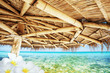 Idyllic tropical scene with frangipani flowers