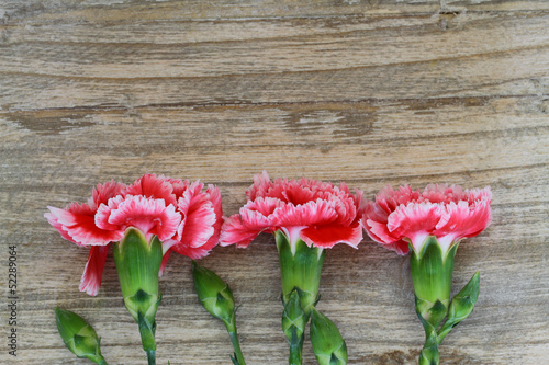 Photo: Red and white carnations on wooden background with copy space Red and white carnations on wooden background with copy space