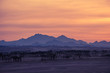 Sunset in Desert - Sahara Rocky Mountains