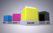 Color and design