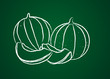 Fruits dessinés sur une ardoise verte : Melon