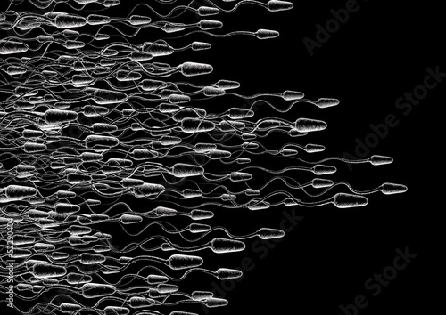 Illustration: sperm and egg cell - Natural insemination - sperm and egg cell - Natural insemination -