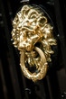 Poignée de porte lion