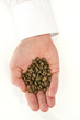 Male hand holding coffee beans