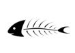 fishbone