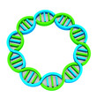 Illustration: DNA Strand circle, 3D in white background DNA Strand circle, 3D in white background