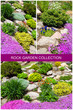 Beautiful gardens with flowers in spring.