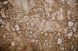 Soil background
