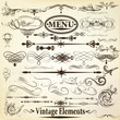 Collection of vintage  vector calligraphic design elements