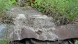 Video: firewood burn smokehouse firewood burn smokehouse