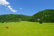 Foto: The Region in the Central Austrian Alps The Region in the Central Austrian Alps