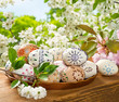 Foto: Easter eggs Easter eggs