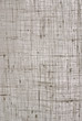 linien