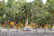 Foto: Palmengarten Bad Pyrmont Palmengarten Bad Pyrmont