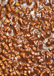 Chocolate with nuts