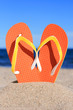 Flip-flops.